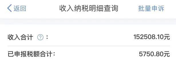 收入纳税明细查询